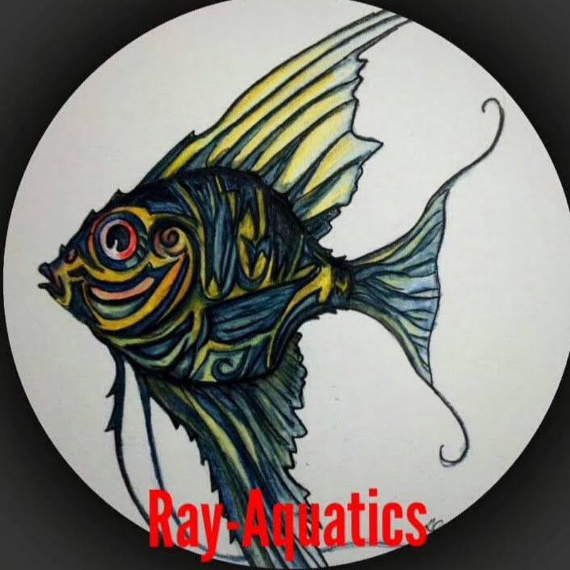 r a y aquatics