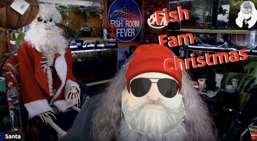 FishFam Christmas coming soon to a live stream near you
