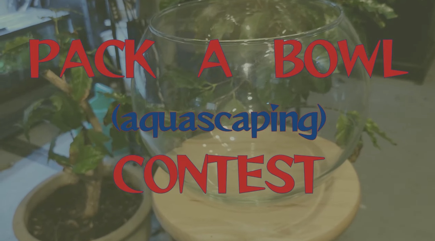 Pack a Bowl Scaping Contest
